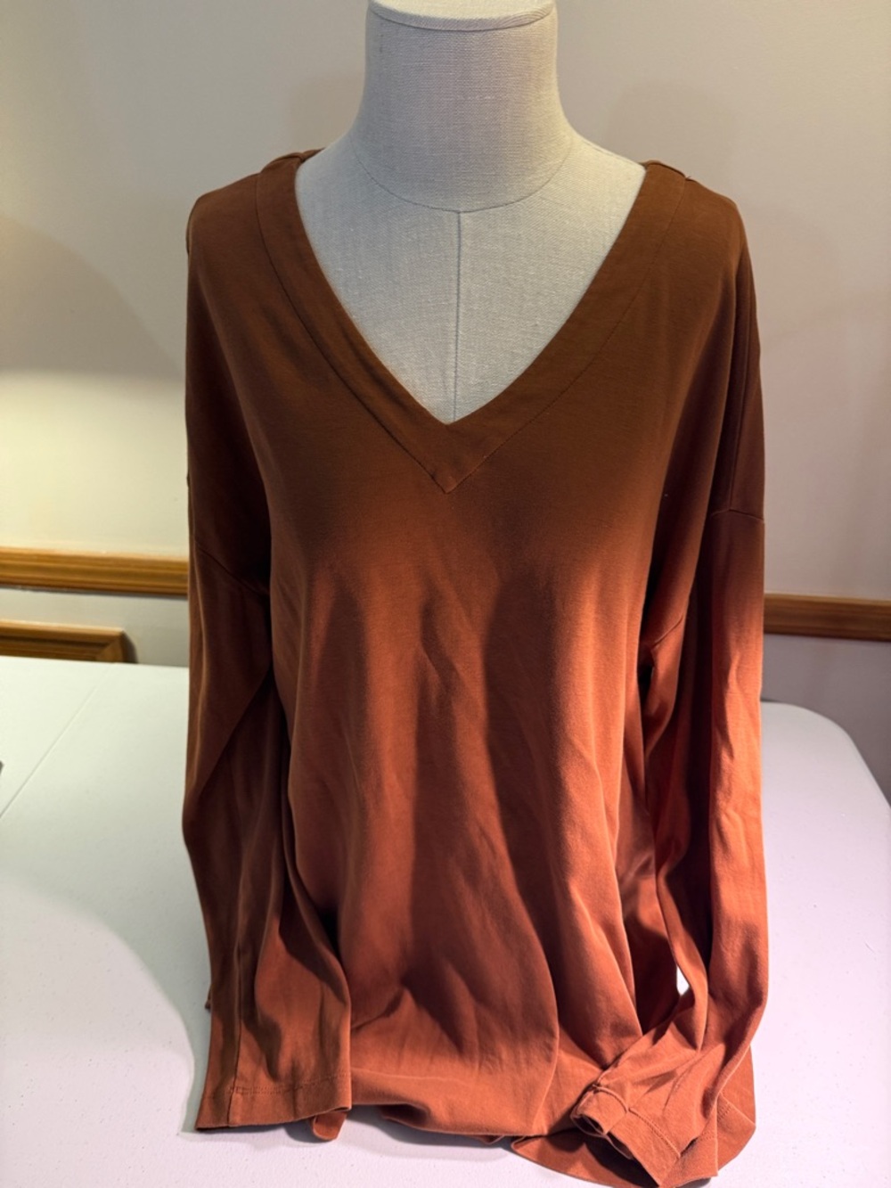 J. Jill Rust V-Neck Tunic Top